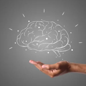 Principios básicos de la inteligencia emocional