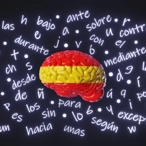 Comunicación en Lengua Castellana N2